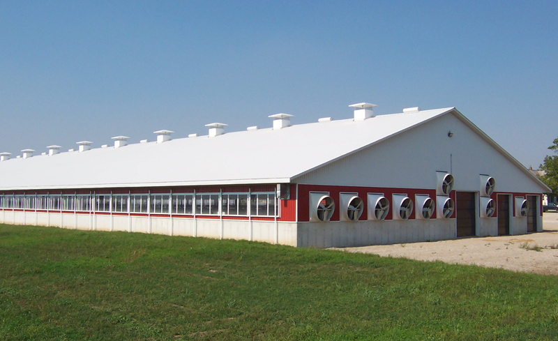Red and white barn with closed panels on the sidewalls and a bank of large exhaust fans to pull air through the barn.