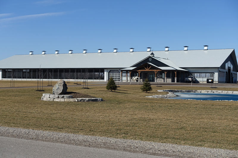 A dairy barn with curtains fully open in a natural ventilation system on a bright sunny day.