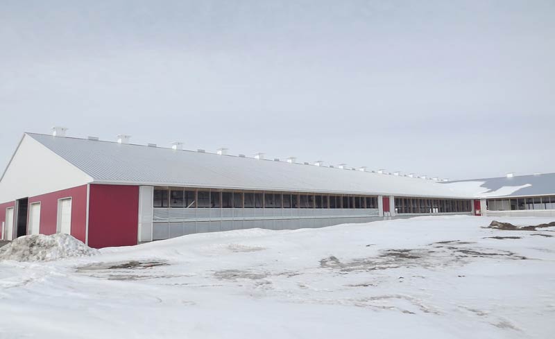 A barn surrounded by snow on a cool winter day with a curtain system partially open for slow air exchange to keep temperatures higher.