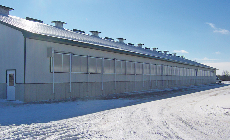 Natural ventilation system with clear panels on a barn are closed on a sunny winter day.