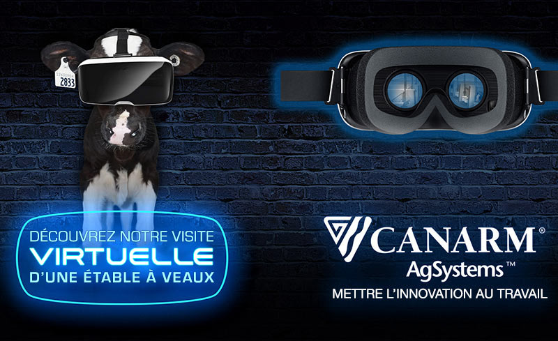 Un veau portant des lunettes de réalité virtuelle. Découvrez notre visite virtuelle d'une étable à veaux.
