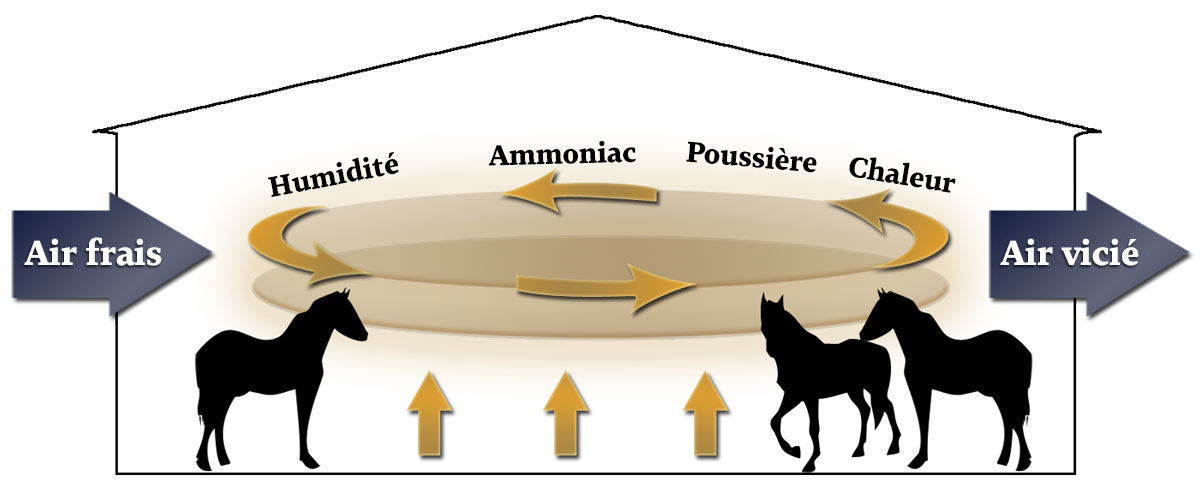 Diagramme montrant l'air frais entrant dans une grange et l'humidité, l'ammoniac et la poussière circulant et s'échappant lors de l'échange de chaleur.