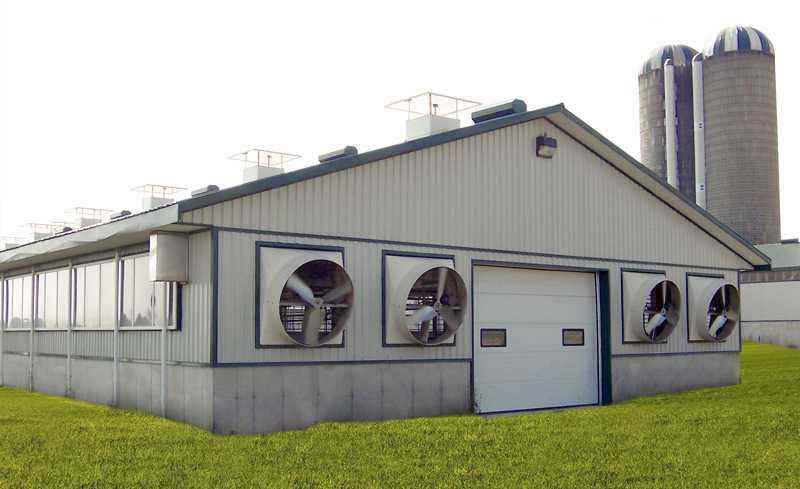 Barn with ridge chimneys, a panel system on the sidewall and large exhaust fans all part of a tunnel ventilation system.