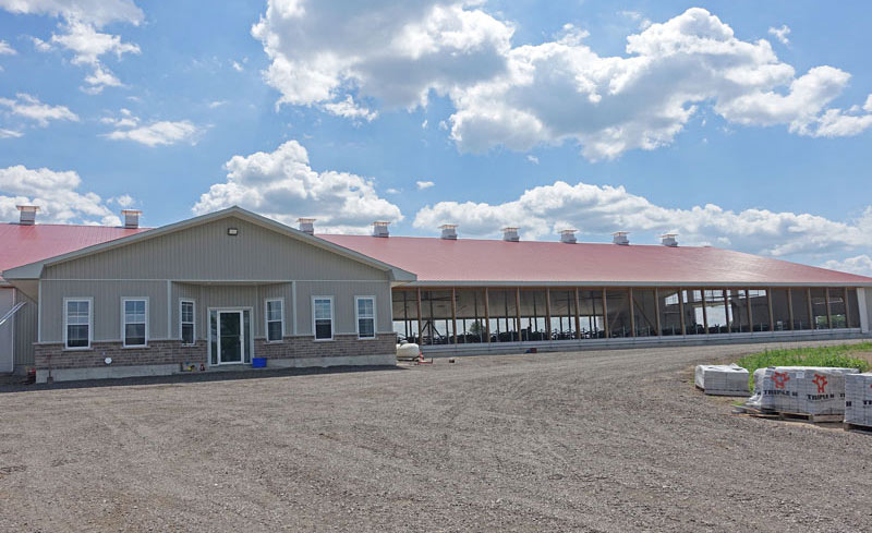 Newly constructed dairy barn with curtains fully open in a natural ventilation system.