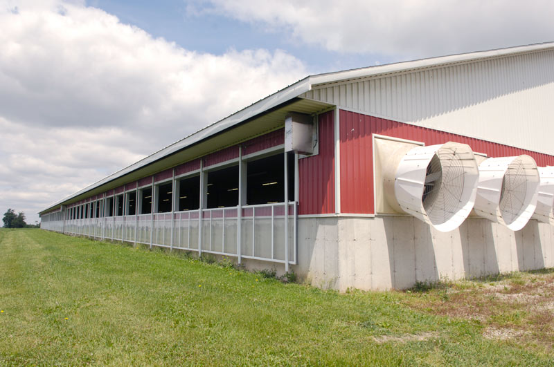 A fully open panel system on a barn letting in fresh air and natural light.