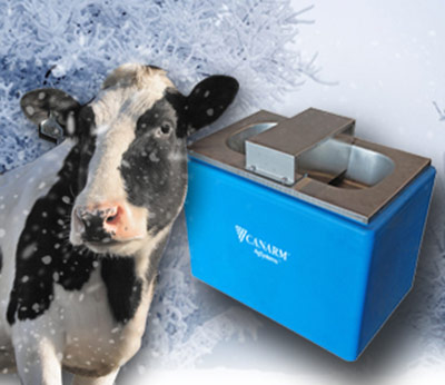 A cow and a heated waterer on a snow covered background.