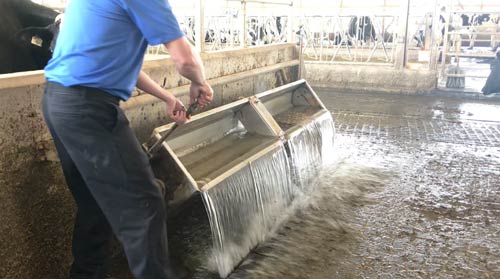 A water trough being tipped to empty out dirty water using an attached handle before automatically refilling with clean water.