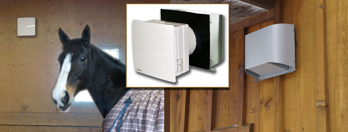 A horse in a stall with a heat recovery ventilator.