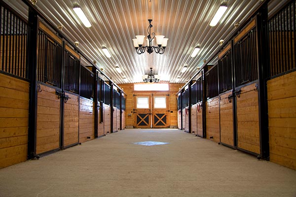 Inside a horse barn with decorative lighting and work lights.