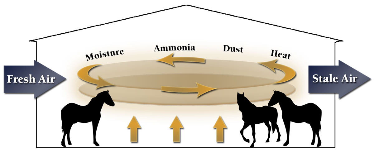 Diagram showing fresh air entering a barn and moisture, ammonia and dust being circulated and exhausted while exchanging heat.