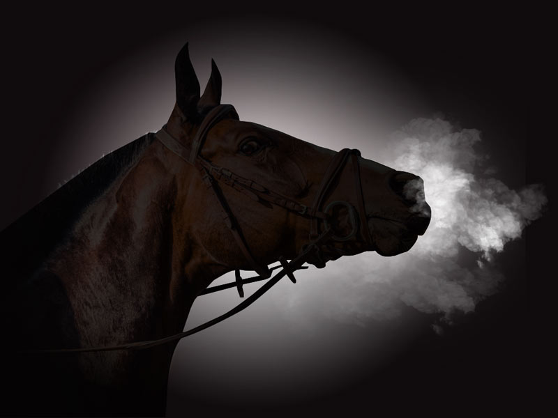 A horse's breath on a dark background.