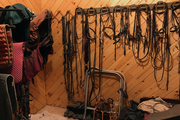 Équipement pour chevaux accroché au mur d'une sellerie.
