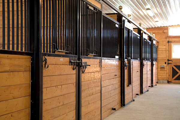 Une rangée de cages de chevaux.