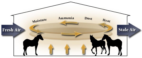 Diagramme montrant l'air frais entrant dans une grange et l'humidité, l'ammoniac et la poussière circulant et s'échappant lors de l'échange de chaleur.