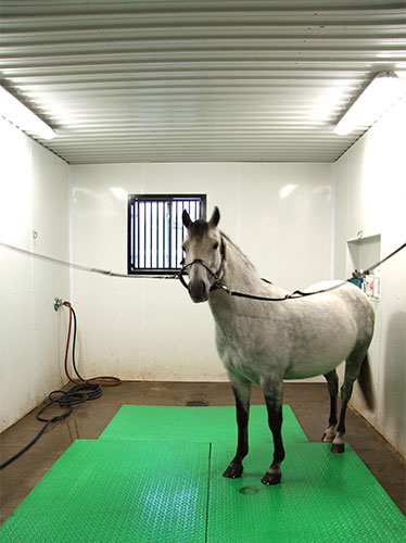 Solar lights for shop horse barn
