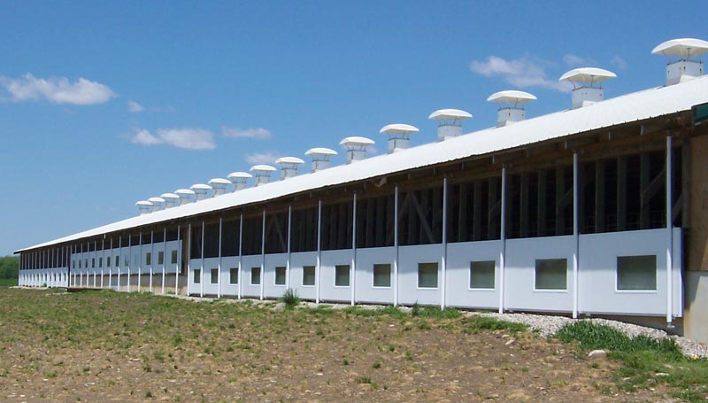 Sow barn with insulated sliding panels, some fully open and some partially open, allowing controlled fresh air into the facility.