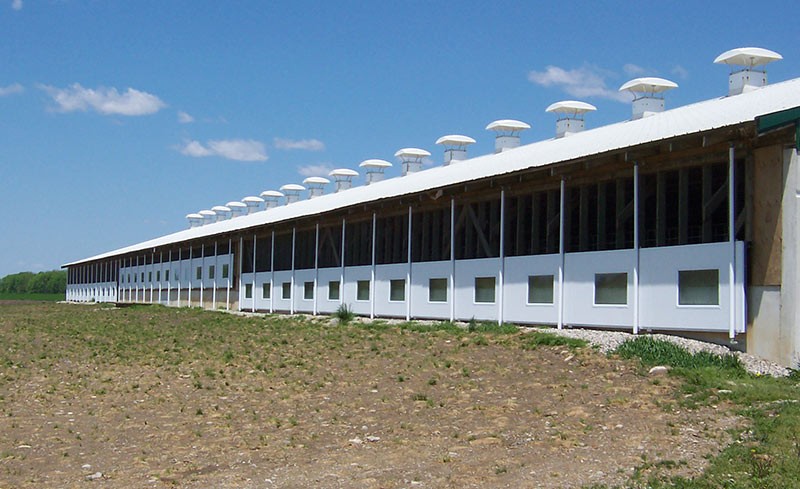 Sow barn with insulated sliding panels, some fully open and some partially open, allowing controlled fresh air into the facility.