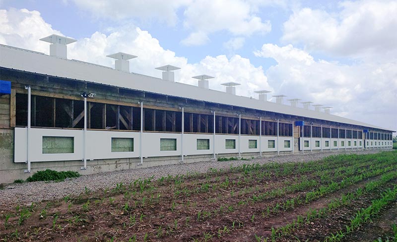 Insulated panels lowered on a barn sidewall to allow natural air movement through the building.