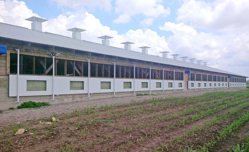 Insulated panels lowered on a barn sidewall to allow natural air movement through the building.