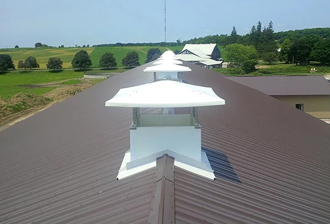 Multiple chimneys along the ridge of a barn.