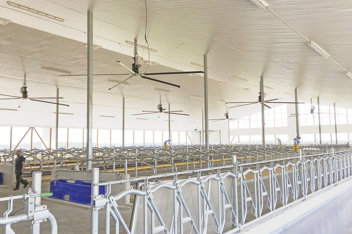 Des ventilateurs HVLS suspendus au plafond dans une grange nouvellement construite.