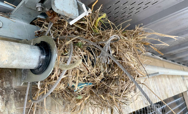 Bird's nest tangled in the cables of a curtain system.