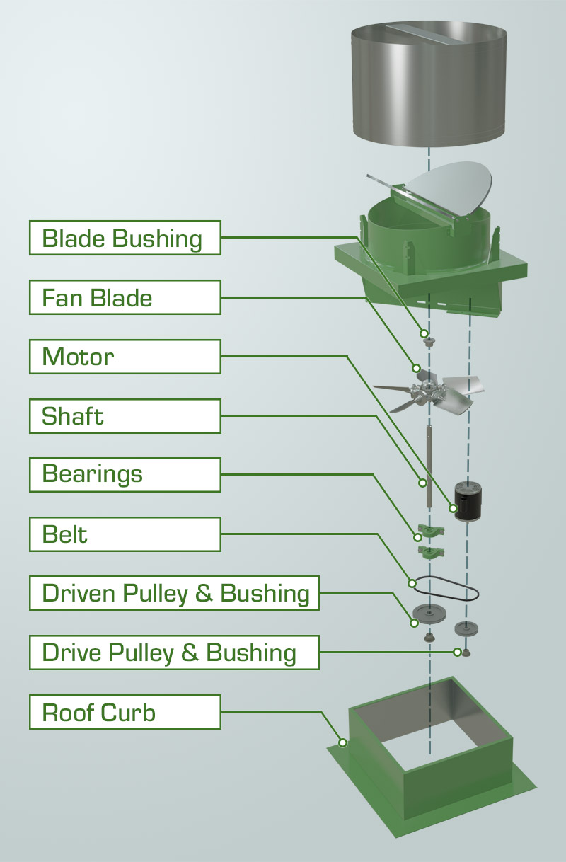 Exploded view of an RB fan with blad bushing, fan blade, motor, shaft, bearings, belt, driven pulley & bushing, drive pulley & bushing, and roof curb.