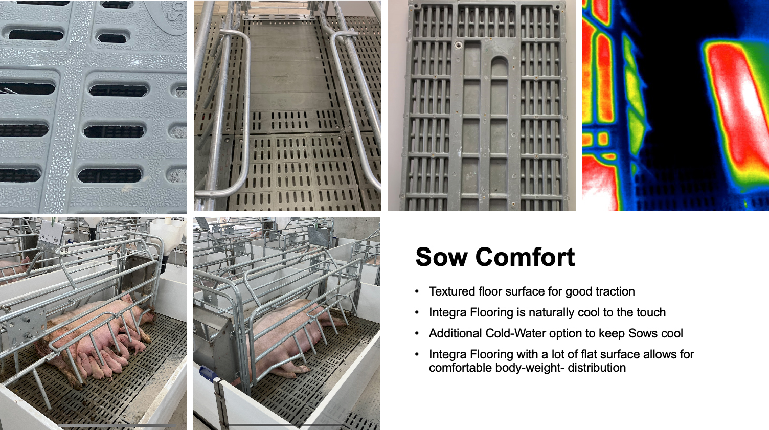 Sow Comfort