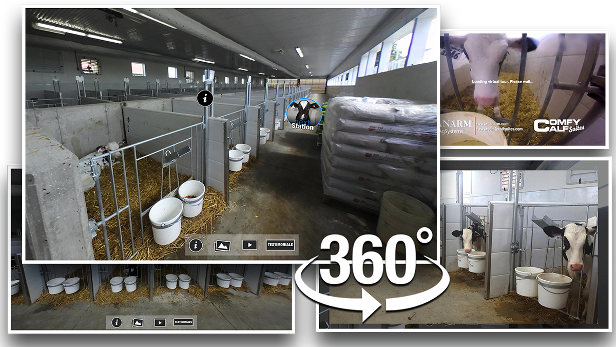 Self Guided Comfy Calf Suites Virtual Tour